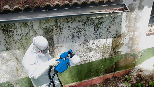 Top rated local Mold Remediation specialists in Parker Ford, PA